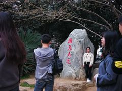 -武汉大学-樱园