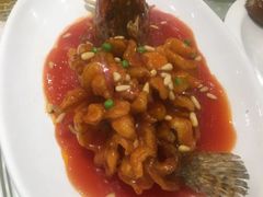 松鼠桂鱼-顺风海鲜港(长寿路店)