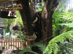 -Fern Forest Cafe