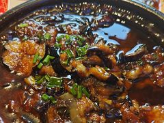 -新概念来凤鱼(璧山店)