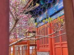 -圣安寺