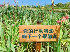 -那考河湿地公园