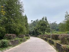 -深圳东部华侨城茵特拉根酒店
