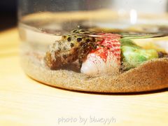 纪念品-滴水丹屏