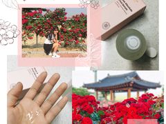 -Olive Young(明洞中央店)