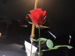 -小火花·干式熟成牛排馆Spark SteakHouse(剑桥郡店)