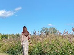 -北京东方普罗旺斯薰衣草庄园