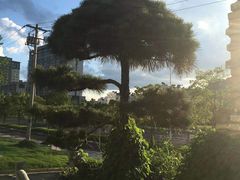 -徽三说·土徽菜·中国徽菜连锁品牌(一中店)