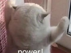 -银吉姆健身(恒隆馆)