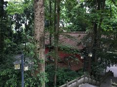 -都江堰普照寺