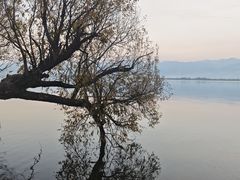 -西昌邛海湾柏樾酒店(原邛海湾柏栎度假酒店)