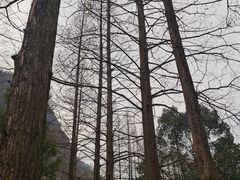 -五泄景区
