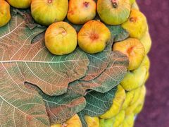 -新疆国际大巴扎