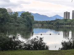 -飞来湖湿地公园