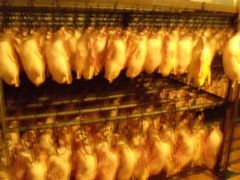 -徐记正宗北京烤鸭(北京东路总店)