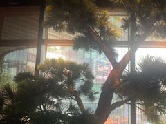 -绿茶餐厅(成都大悦城店)