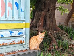 -四川大学(华西校区)