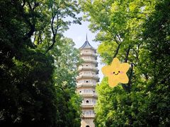 -灵谷景区