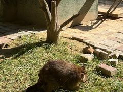 -青藏高原野生动物园