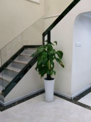 -苗医生草本科技祛痘