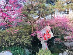 -杭州植物园