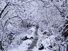 -九峰山