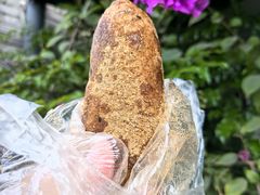 -范嬢嬢春森路糯米团