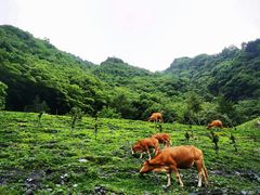 -硗碛藏寨·神木垒景区