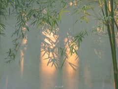 -杭州黄龙洞