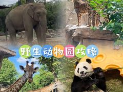 -上海野生动物园