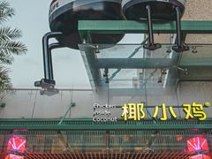 -椰小鸡·琼州糟粕醋·火锅(美兰缤纷城店)