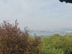-香雪海