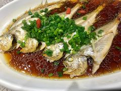 蒸黄鱼-星龙海鲜(望江东路店)