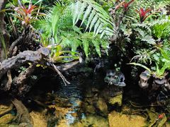 -太平洋海底世界