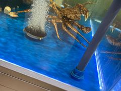 -哈尔信阳光农园超市(沈阳三台子万象汇店)