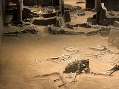 -洛阳周王城天子驾六博物馆