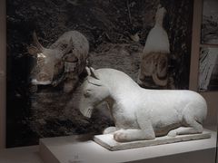 -宁夏博物馆