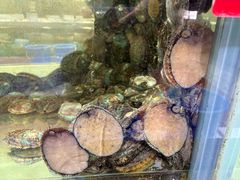 -天天渔港(杏林街店)