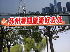 -金鸡湖景区