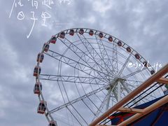-顾村公园