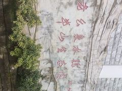 -老幺泉水鸡