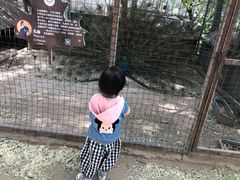 -意大利农场度假村