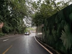 -大渡口区义渡公园