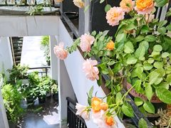-边渡咖啡烘焙店(昙华林店)