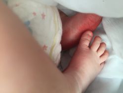 -福建省妇幼保健院(道山路院区)