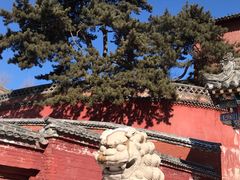 -五台山风景名胜区-罗睺寺