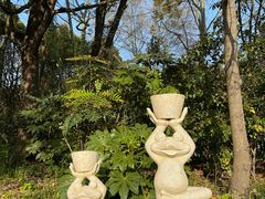 -上海共青森林公园