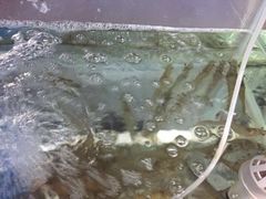 -海尚韵舍海景餐厅(朱家尖店)