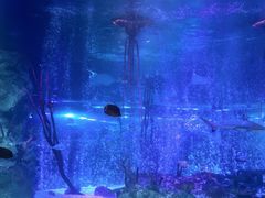 -沈阳海洋探索中心