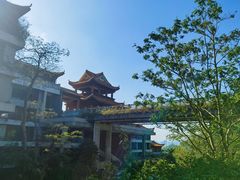 -深圳仙湖植物园